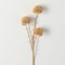 Sullivan's Marigold Spray, Yellow and Brown Faux Floral Stem for Crafting, Weddings, Home and Holiday Decoration, 24.5 Inch